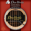 DEAN MARKLEY DM 3015 przystawka gitarowa