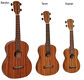 Ukulele sopranowe Z-1175 zebrano Hora